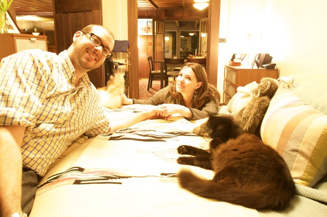 Couple Relaxing Together with Their Cats at Home