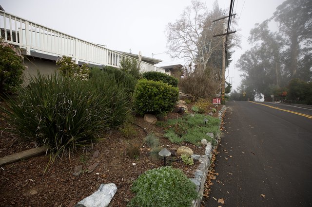 Misty Morning Garden Along Foggy Roadside