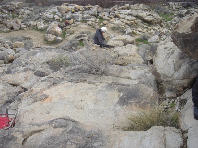 Standing Strong on Rocky Terrain