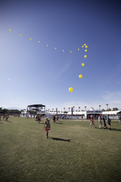 Kite-flying extravaganza in Coachella field