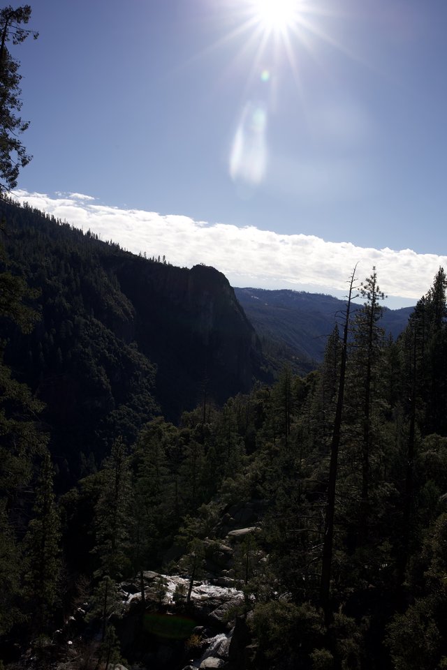 Sun-Drenched Canyon Vista in Yosemite Valley