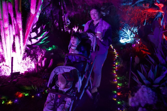 Enchanted Evening at the Garden of D'Lights