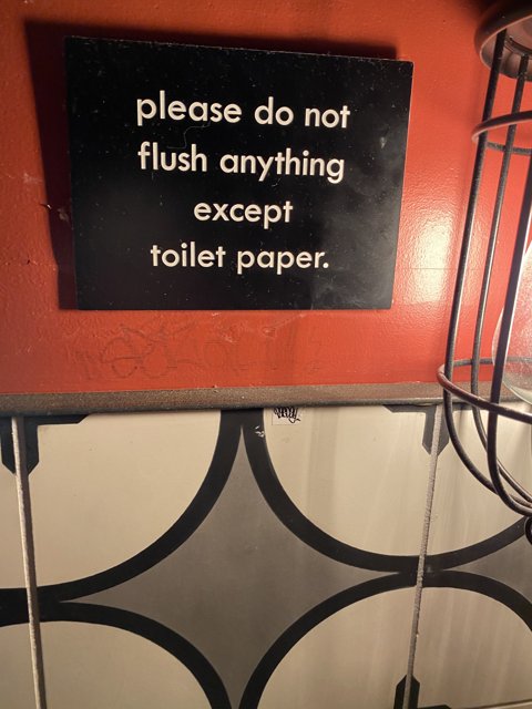 Please Only Flush Toilet Paper Sign