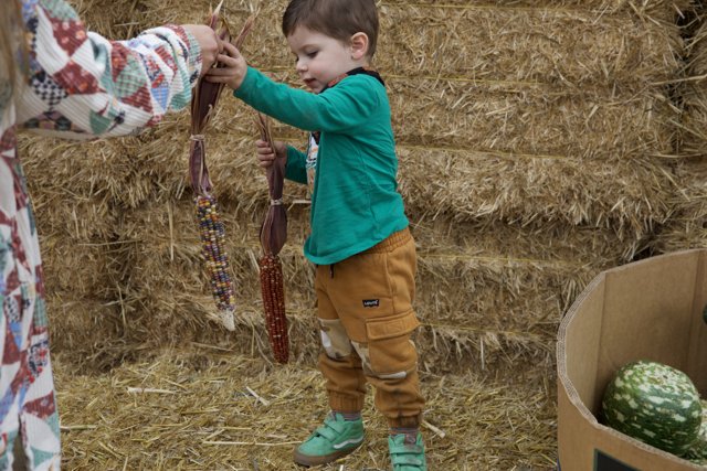 Harvest Days in Walnut Creek