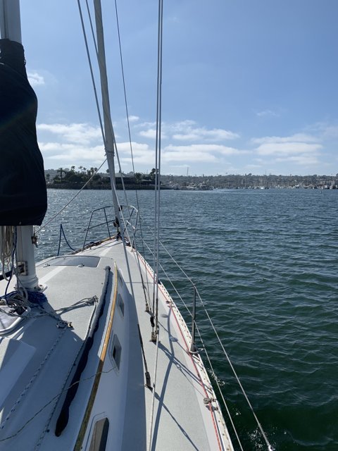Three Sailboats at North San Diego Bay