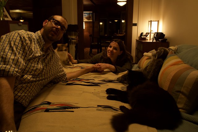 Couple Relaxing on Floor with Cats at Night