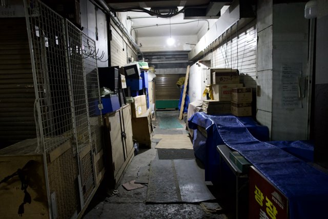 Urban Solitude: The Vibrant Alley of Korea