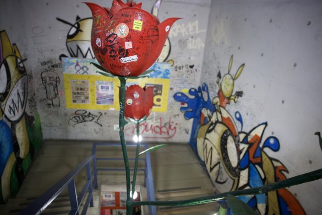 Balloon Fantasy in Urban Canvas - Korea 2024