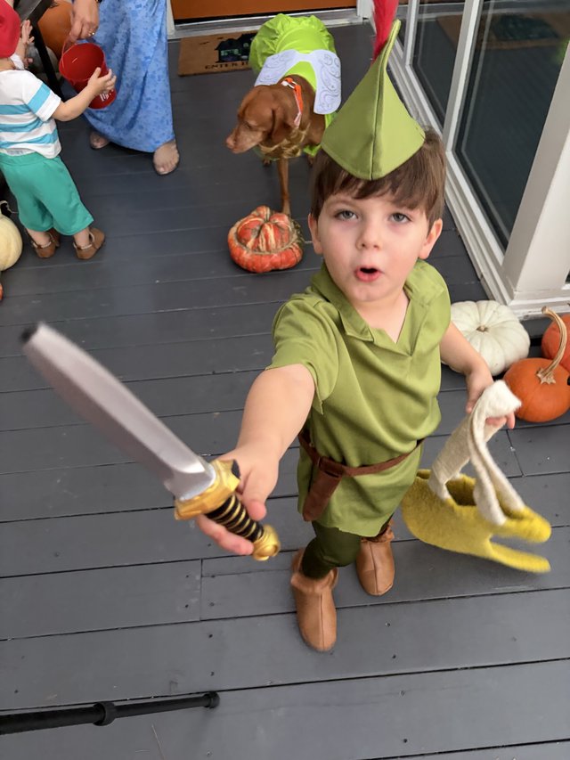 Young Boy in Peter Pan Costume with Sword