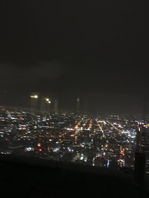 Overlooking the City of Angels at Night
