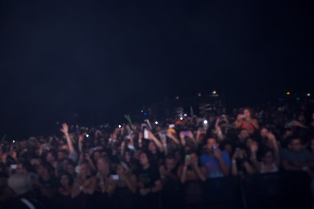 High-Energy Crowd at Coachella Concert