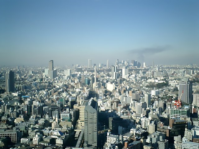 Captivating View of Tokyo Metropolis from Above