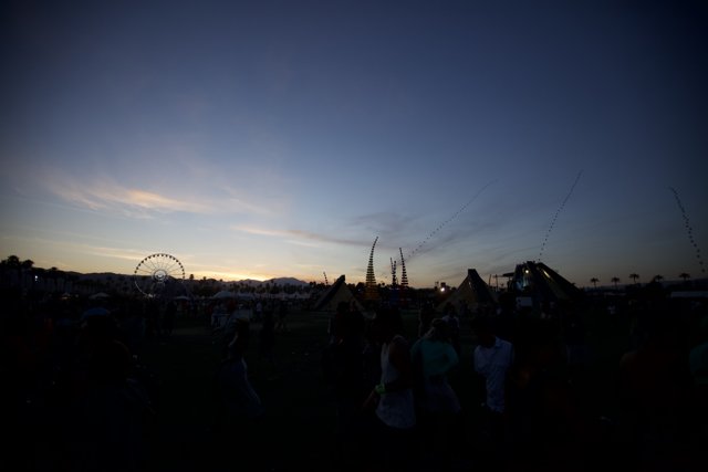 Field of Silhouettes at Sunset