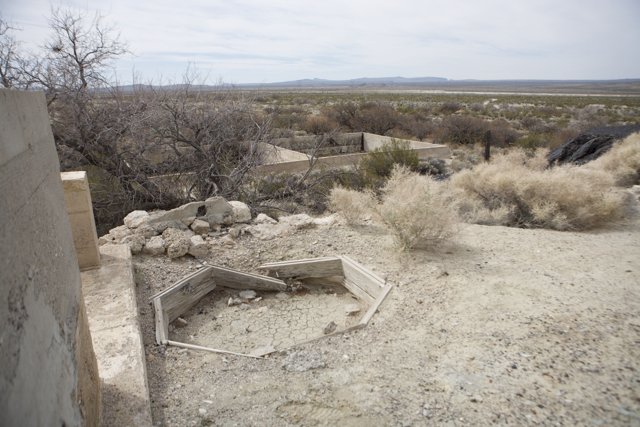 Ruins of a Concrete Bunker