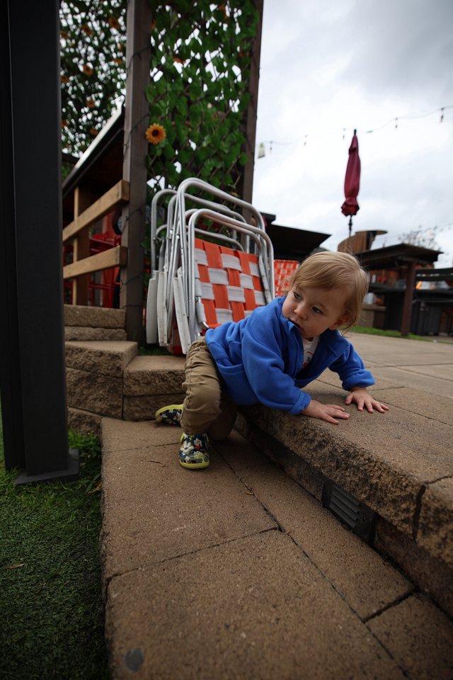 Toddler Exploring Outdoor Patio Steps on Cloudy Day