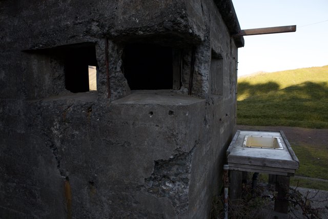 The Bunker Window