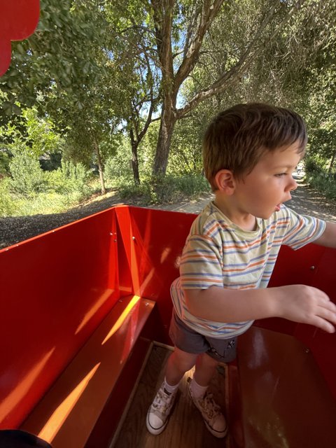 Adventure in the Park