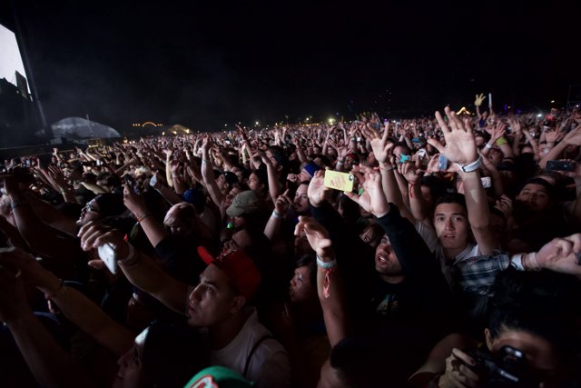 Euphoric Crowd at Coachella 2012