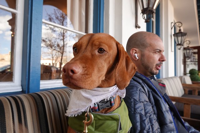 Dog and Owner Relaxing at Outdoor Cafe