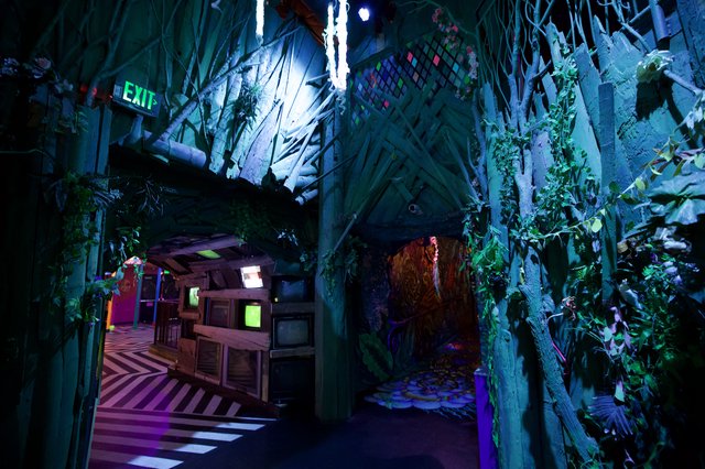 Immersive Fantasy Themed Interactive Installation Interior