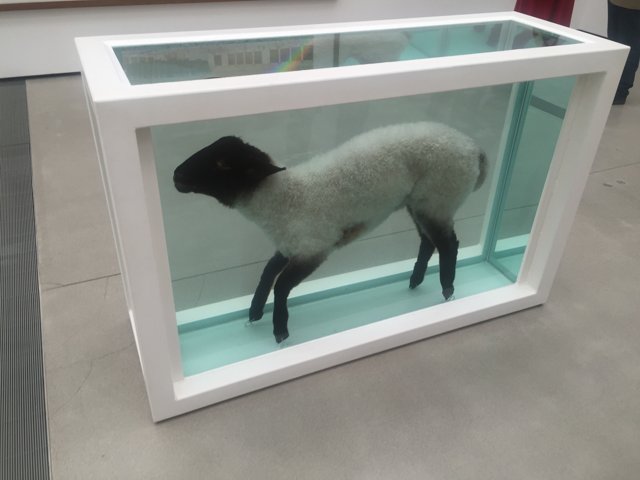 Sheep in a Glass Cage