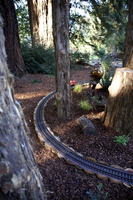 Enchanted Woodland Tracks