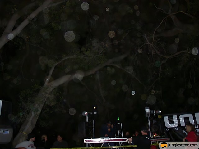 Tree-Lit Night Concert