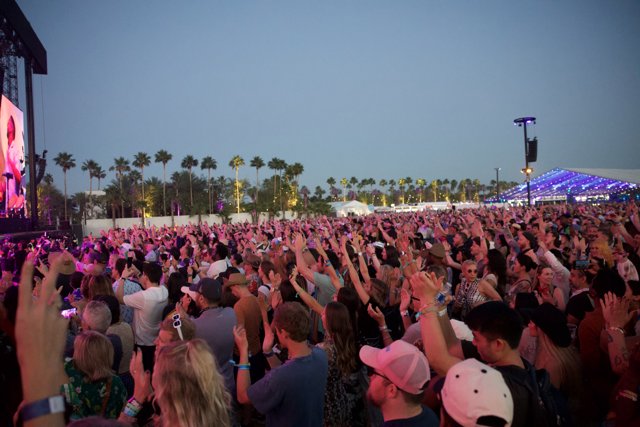 Euphoria Under the Palms: Coachella 2024