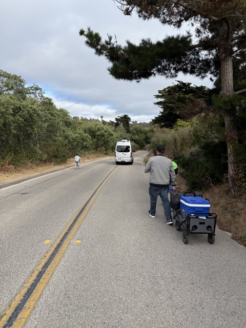 Summer Stroll on Scenic Roads
