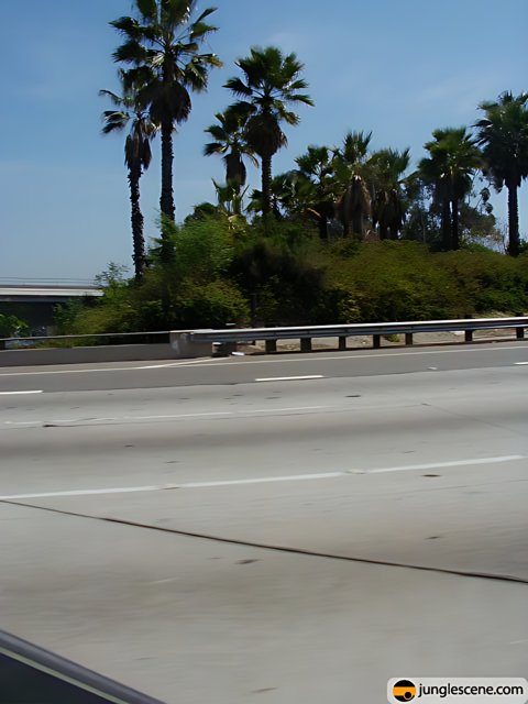 Freeway Scenery on a Sunny Day