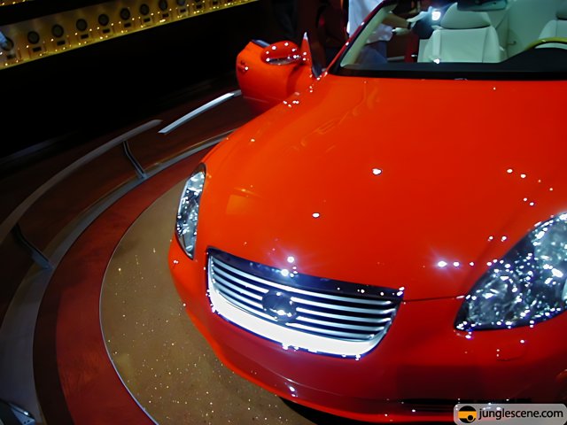 Red Sports Car Steals the Show