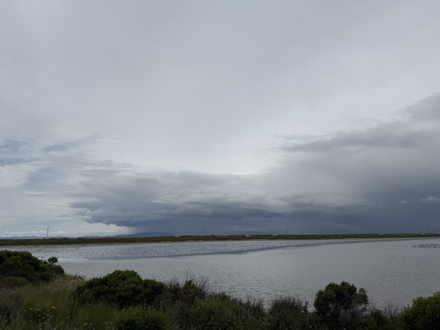Tranquil Waters: A Cloudy Day at San Pablo Bay