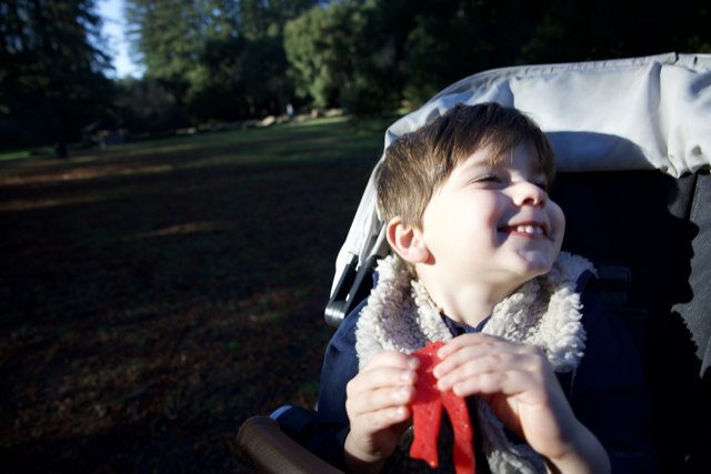 Joyful Moments in Thistlewyck