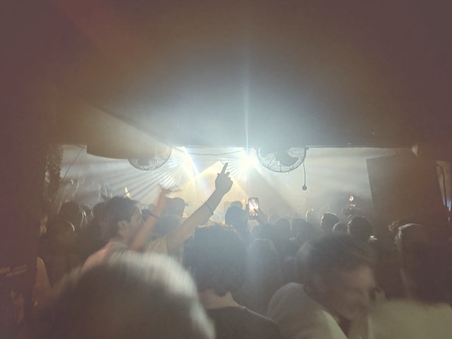 Energetic Crowd at London Underground Music Venue