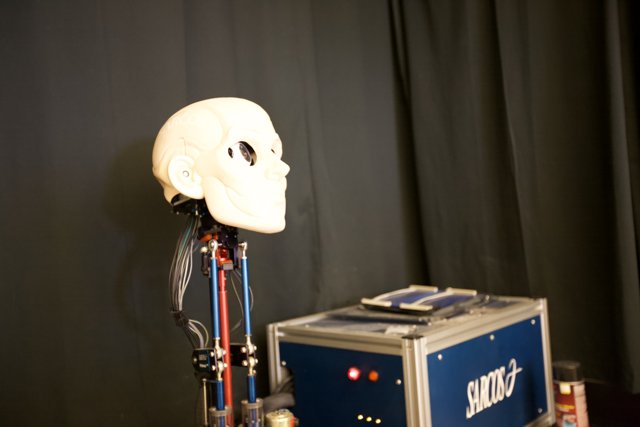 Skull Machine Toy on Blue Box