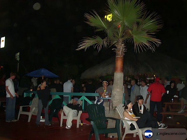Nighttime Gathering around a Majestic Palm Tree