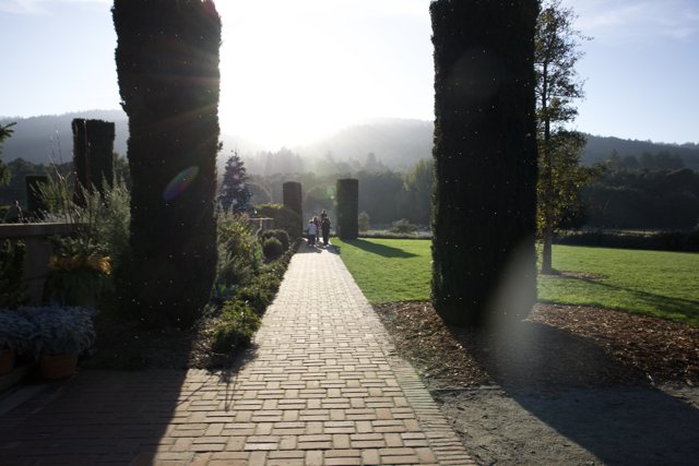 Stroll Through Sunlit Elegance