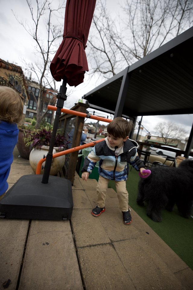Young Boy Meeting Black Cat at Urban Patio