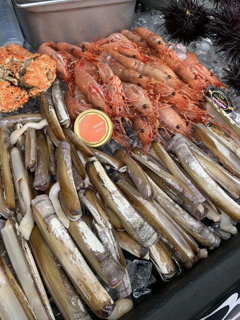 A Bounty of Seafood on Ice