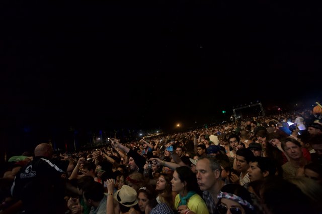Nighttime Concert Crowd