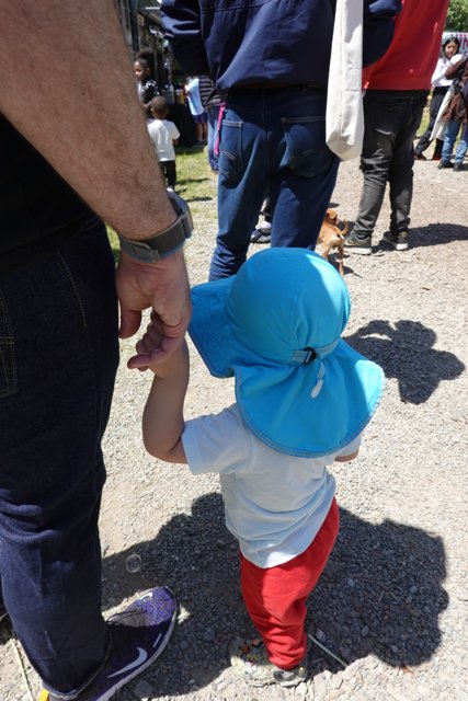 Holding Hands at the Park
