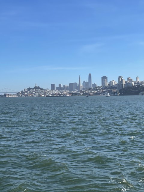 San Francisco Metropolis