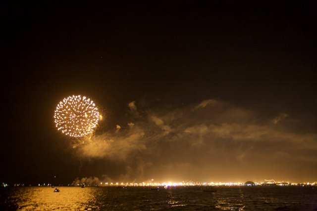 Explosive Fireworks Display Under the Night Sky