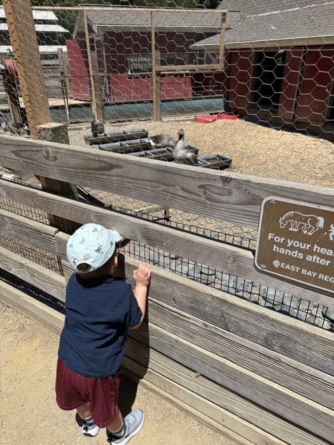 Curious Encounters at the Nature Area