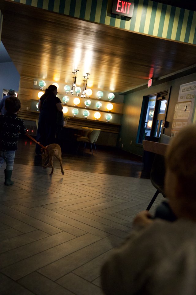 Dogs in Retro Mid-Century Lobby at Night