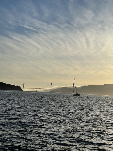 Sailing Through Scenic San Francisco Bay