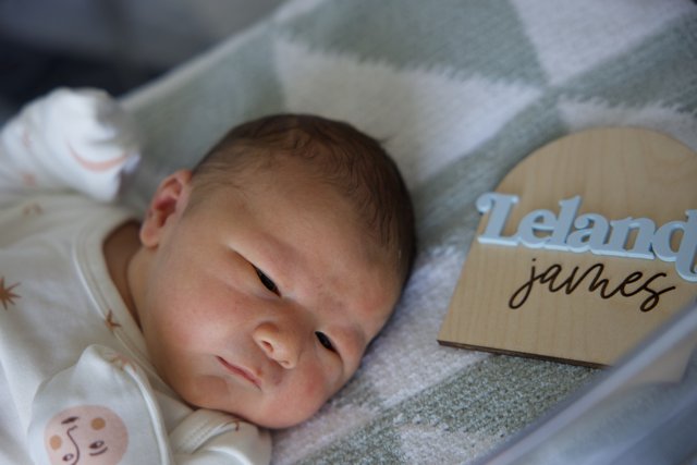 Welcome to the World, Leland