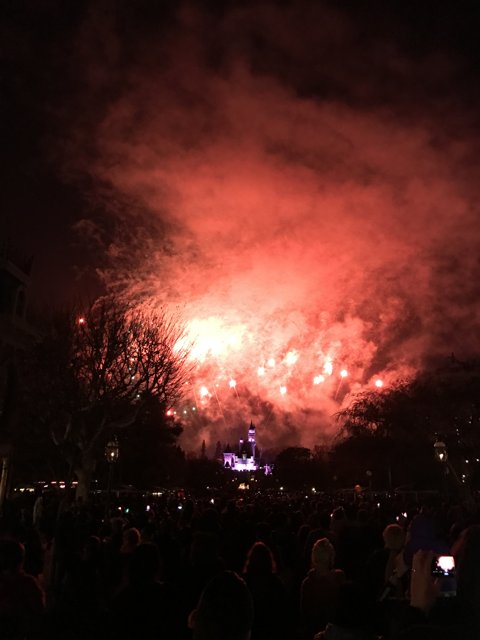 Magical Fireworks Over Disneyland