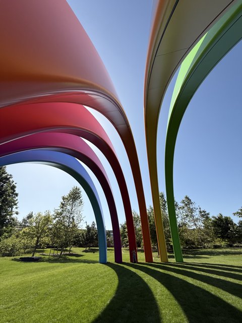 A Symphony in Color