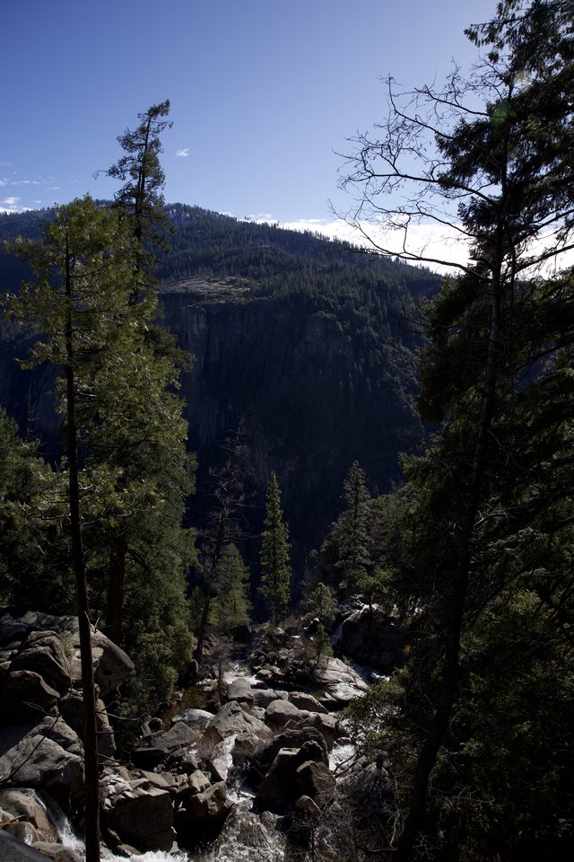 Mountain Stream Through Yosemite Valley Forest